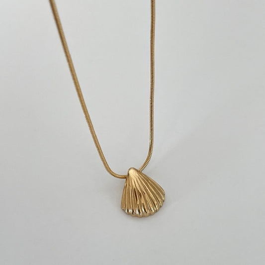 Deniz Kabuğu Kolye